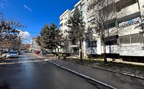 Viktor Apartment